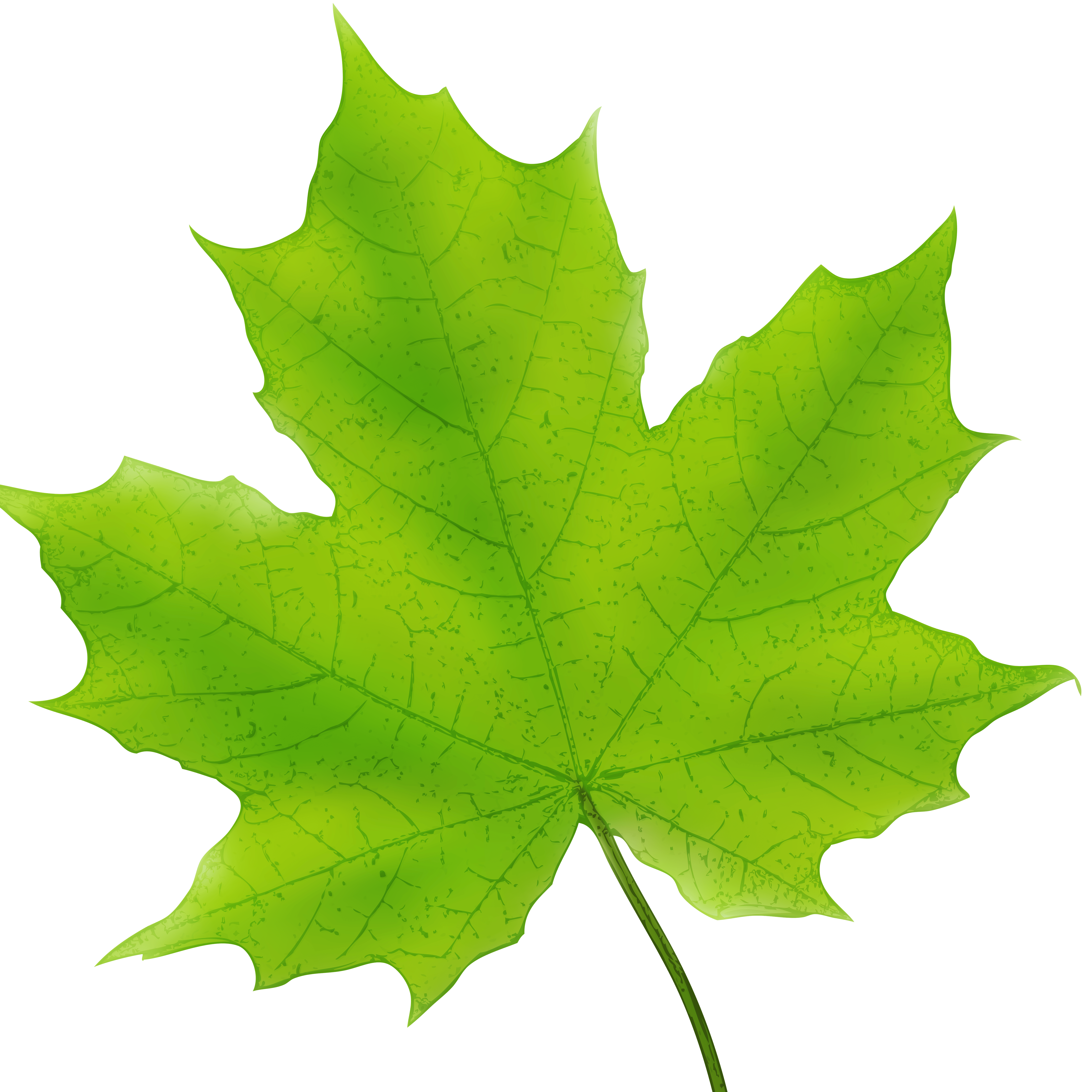 Maple Leaf Counselling
