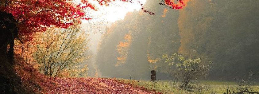 Experienced counsellor in Epsom
